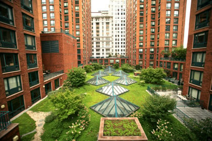 green roof nyc